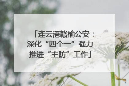 连云港赣榆公安：深化“四个一”强力推进“主防”工作