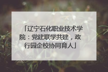 辽宁石化职业技术学院：党建联学共建，政行园企校协同育人