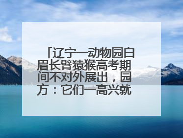 辽宁一动物园白眉长臂猿猴高考期间不对外展出，园方：它们一高兴就喜欢鸣叫，怕影响考试