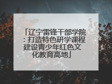 辽宁雷锋干部学院：打造特色研学课程 建设青少年红色文化教育高地