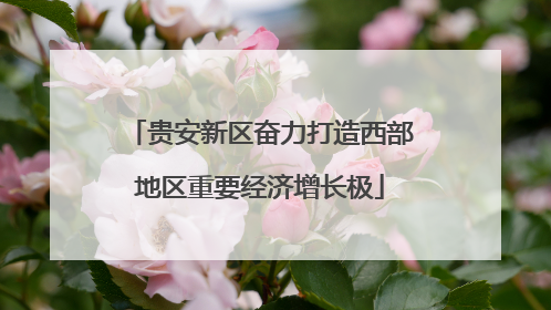 贵安新区奋力打造西部地区重要经济增长极
