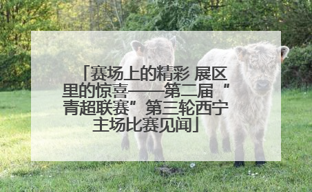 赛场上的精彩 展区里的惊喜——第二届“青超联赛”第三轮西宁主场比赛见闻