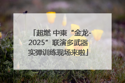 超燃 中柬“金龙-2025”联演多武器实弹训练现场来啦