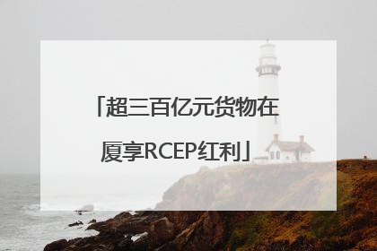 超三百亿元货物在厦享RCEP红利