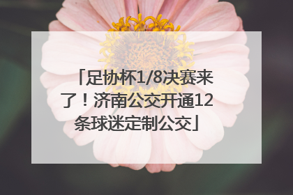 足协杯1/8决赛来了！济南公交开通12条球迷定制公交
