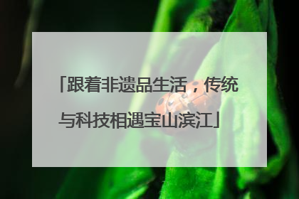 跟着非遗品生活，传统与科技相遇宝山滨江