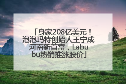 身家208亿美元！泡泡玛特创始人王宁成河南新首富，Labubu热销推涨股价