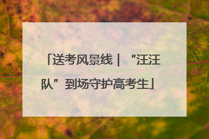 送考风景线｜“汪汪队”到场守护高考生