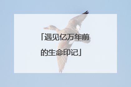 遇见亿万年前的生命印记
