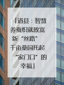 道县：智慧养蚕织就致富新“丝路” 千亩桑园托起“家门口”的幸福