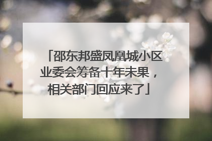 邵东邦盛凤凰城小区业委会筹备十年未果，相关部门回应来了
