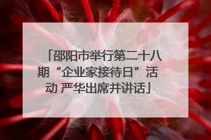 邵阳市举行第二十八期“企业家接待日”活动 严华出席并讲话