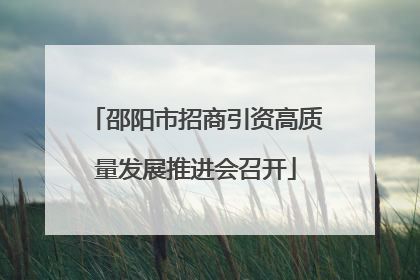 邵阳市招商引资高质量发展推进会召开