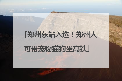 郑州东站入选！郑州人可带宠物猫狗坐高铁