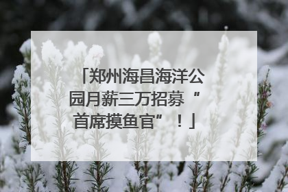 郑州海昌海洋公园月薪三万招募“首席摸鱼官”！