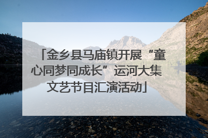 金乡县马庙镇开展“童心同梦同成长”运河大集文艺节目汇演活动
