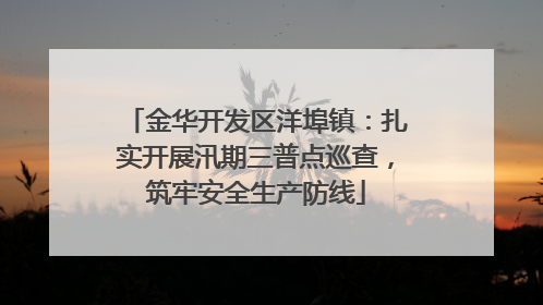 金华开发区洋埠镇：扎实开展汛期三普点巡查，筑牢安全生产防线