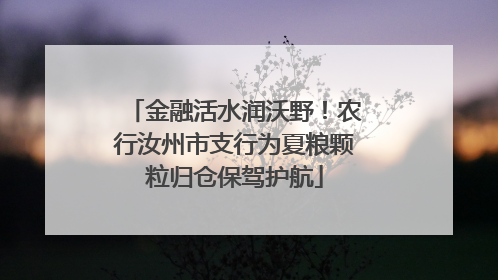 金融活水润沃野！农行汝州市支行为夏粮颗粒归仓保驾护航