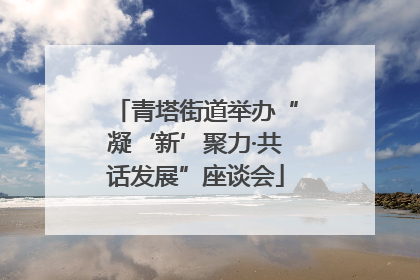青塔街道举办“凝‘新’聚力·共话发展”座谈会