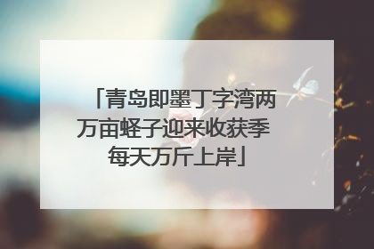 青岛即墨丁字湾两万亩蛏子迎来收获季 每天万斤上岸