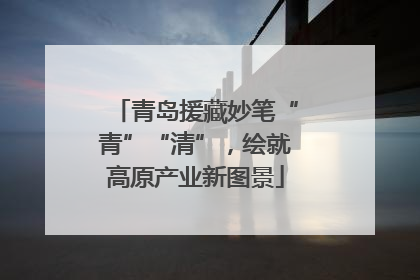 青岛援藏妙笔“青”“清”，绘就高原产业新图景