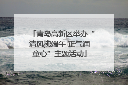 青岛高新区举办“清风拂端午 正气润童心”主题活动