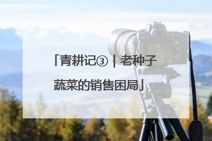 青耕记③｜老种子蔬菜的销售困局