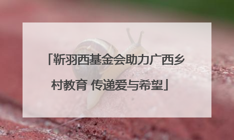 靳羽西基金会助力广西乡村教育 传递爱与希望