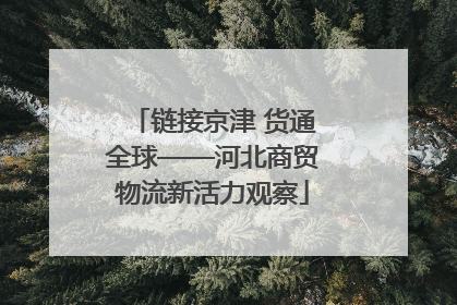 链接京津 货通全球——河北商贸物流新活力观察