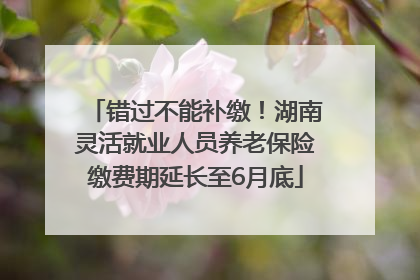 错过不能补缴！湖南灵活就业人员养老保险缴费期延长至6月底