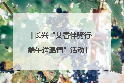 长兴“艾香伴骑行·端午送温情”活动