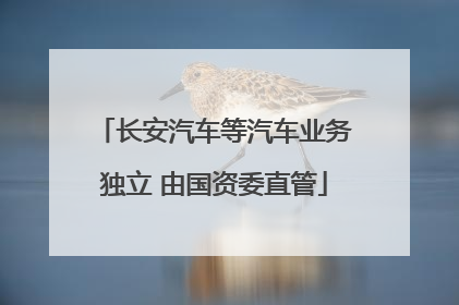 长安汽车等汽车业务独立 由国资委直管