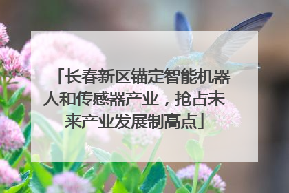 长春新区锚定智能机器人和传感器产业，抢占未来产业发展制高点