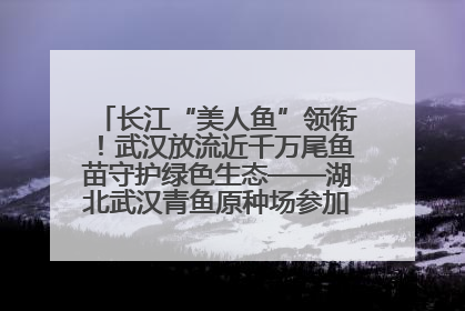 长江“美人鱼”领衔！武汉放流近千万尾鱼苗守护绿色生态——湖北武汉青鱼原种场参加2025年“全国放鱼日”增殖放流活动