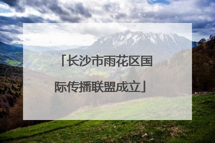 长沙市雨花区国际传播联盟成立