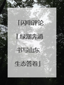 闪电评论丨绿潮奔涌 书写山东生态答卷