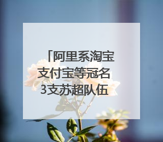 阿里系淘宝支付宝等冠名3支苏超队伍；京东：目前京东币链科技并没有开始发行稳定币｜早资道