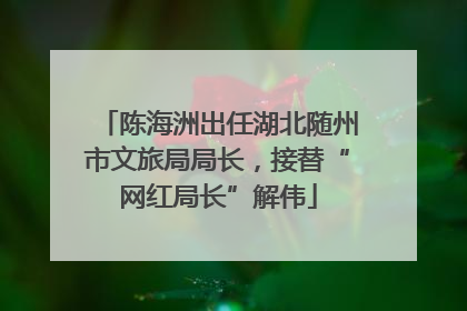 陈海洲出任湖北随州市文旅局局长，接替“网红局长”解伟