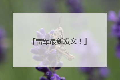 雷军最新发文！