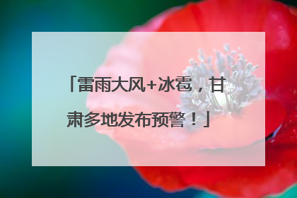 雷雨大风+冰雹，甘肃多地发布预警！