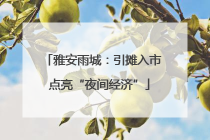 雅安雨城：引摊入市 点亮“夜间经济”