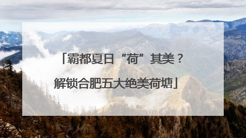 霸都夏日“荷”其美？解锁合肥五大绝美荷塘