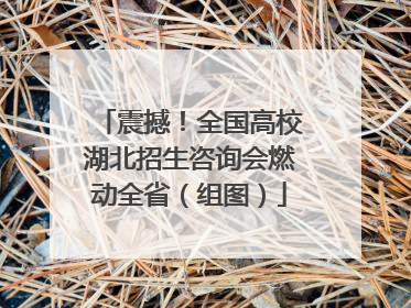 震撼！全国高校湖北招生咨询会燃动全省（组图）
