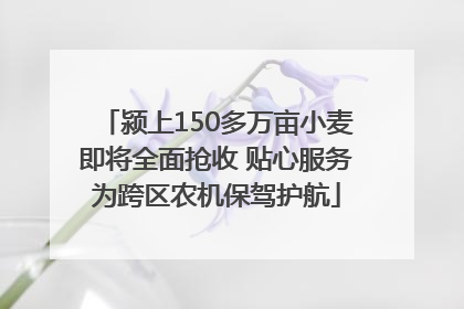 颍上150多万亩小麦即将全面抢收 贴心服务为跨区农机保驾护航