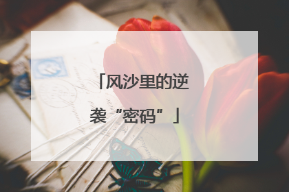 风沙里的逆袭“密码”