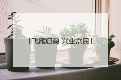 飞雁归巢 兴业富民