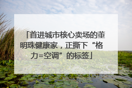 首进城市核心卖场的董明珠健康家，正撕下“格力=空调”的标签