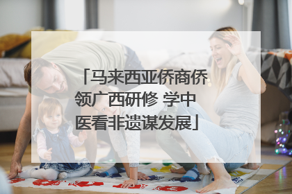 马来西亚侨商侨领广西研修 学中医看非遗谋发展