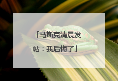 马斯克清晨发帖：我后悔了