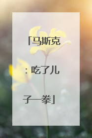 马斯克：吃了儿子一拳